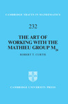 The art of working with the Mathieu group M24